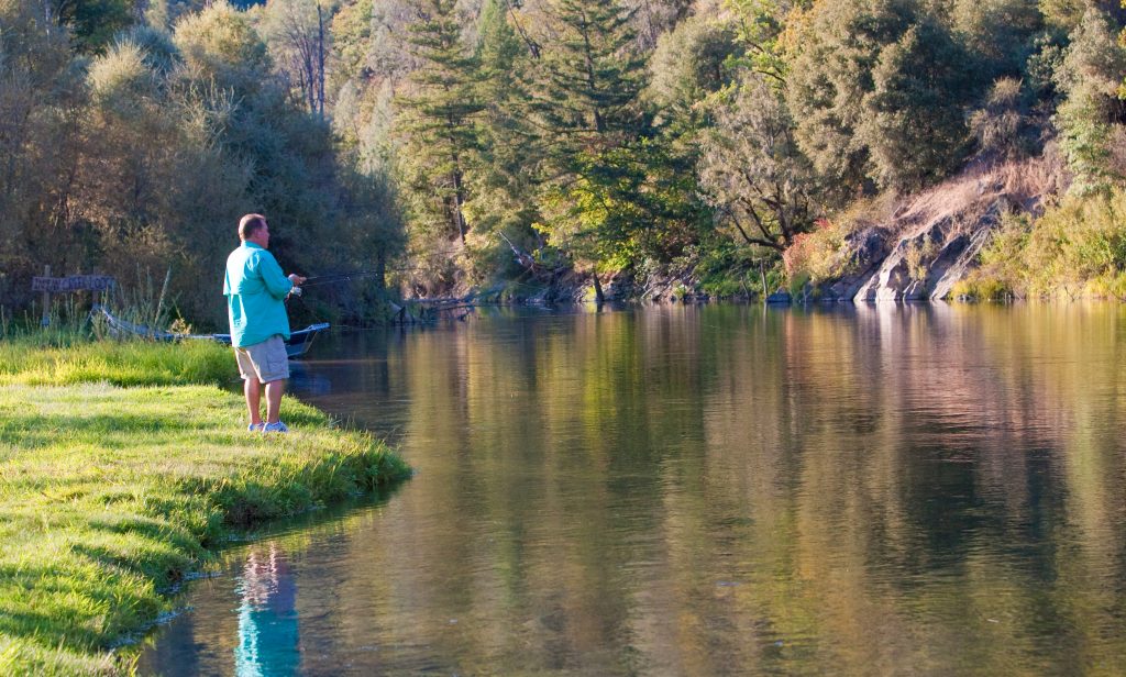 River Fly Fishing Techniques