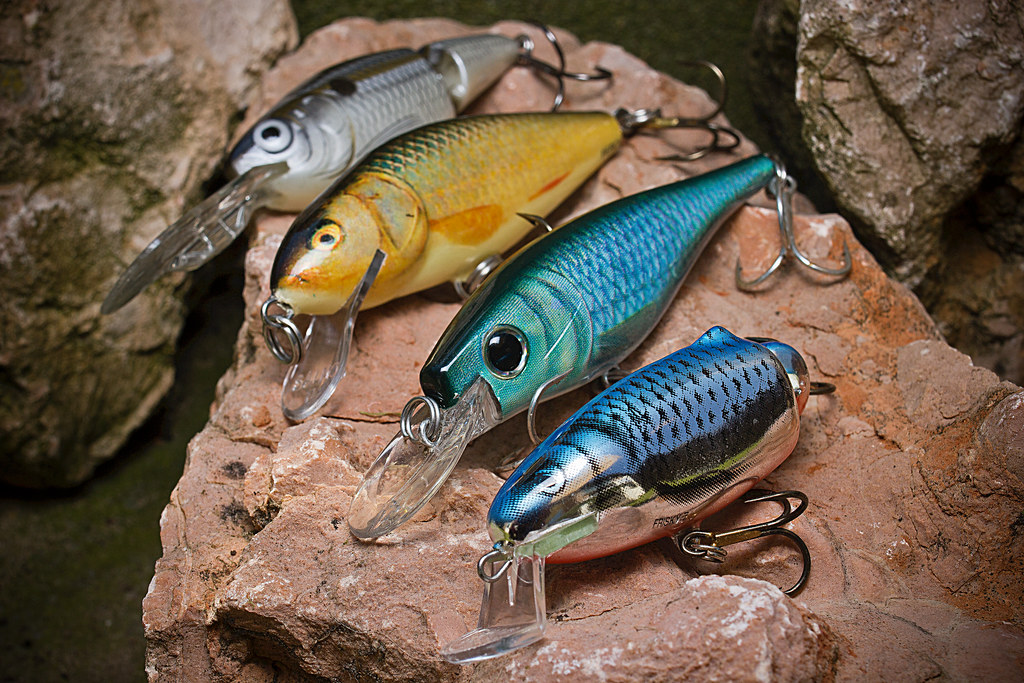 Unconventional Baits and Lures